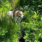 Luna Romantische Fuer 2, Mit Balkon, Bergblick, Boxspringbett, Hund Willkommen 아파트 상트안드레스베르크