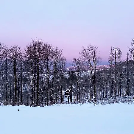 Luna Apartment Sankt Andreasberg