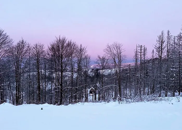 Luna Daire Sankt Andreasberg