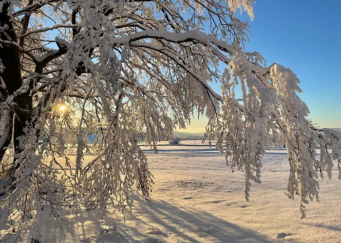 Daire Luna Sankt Andreasberg